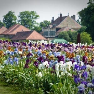 jardindesiris_newsletter_chateau