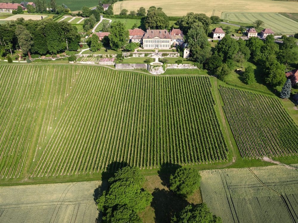 Vue aérienne des vignes du Château.