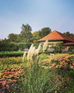 chateauvullierens_alléecavalière_automne_jardinautomnale