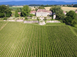 Vue aérienne des vignes du Château de Vullierens.