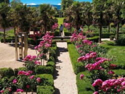 (c) Régis Colombo
www.regiscolombo.ch Vue aérienne de l'allée des rosiers.