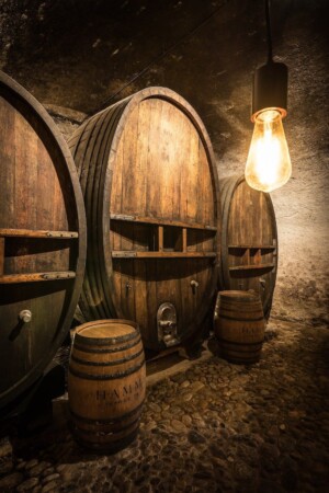Tonneau dans la cave principale du Château.