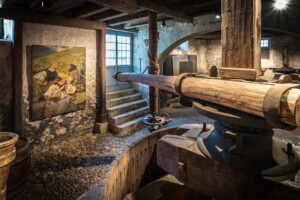 Pressoir dans la cave du Château.