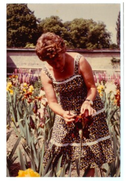 Les femmes du Château.