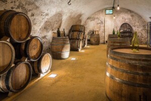 Tonneaux dans la petite cave privée du Château.