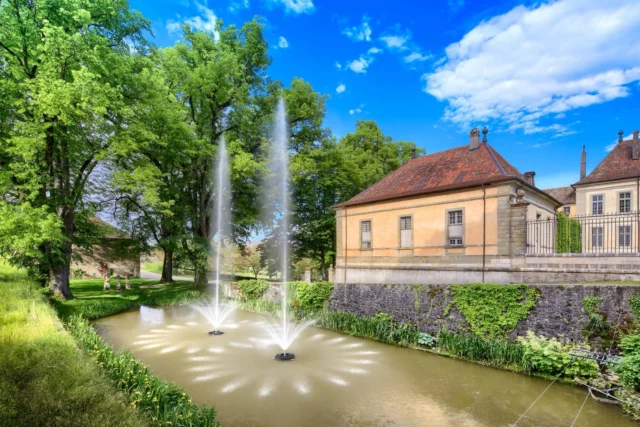 🌿☀️ Canicule au rendez-vous cette semaine ? On a ce qu’il vous faut !
Profitez de la fraîcheur de nos douves médiévales, laissez-vous bercer par le murmure de nos fontaines, et explorez l’ombre bienveillante de nos bâtiments historiques.

Un écrin de patrimoine et de fraîcheur vous attend cette semaine au Château de Vullierens 🌳💦

📍Ouvert tous les jours
🕰️ Horaires 10h-18h
📸 N’oubliez pas votre appareil photo… et votre chapeau & votre gourde que nous remplirons gratuitement !

#ChâteauDeVullierens #Canicule #Fraîcheur #Douves #Fontaines #PatrimoineSuisse #BaladeEstivale #JardinHistorique